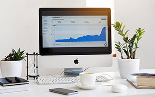 开云电竞官网入口|武术赛事v6.2.2